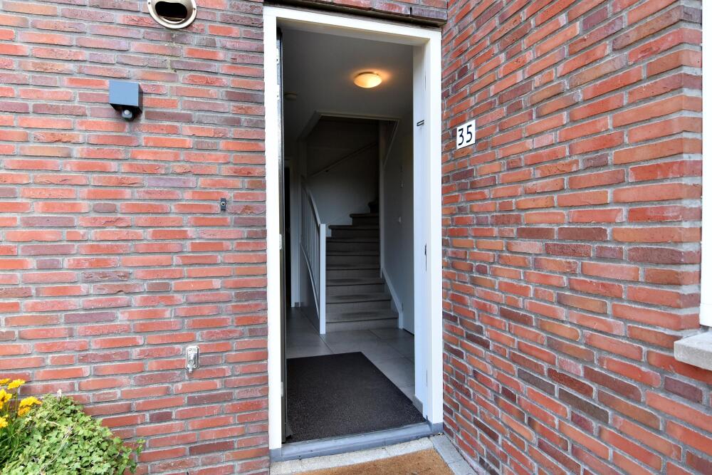Foto 5 1000w
