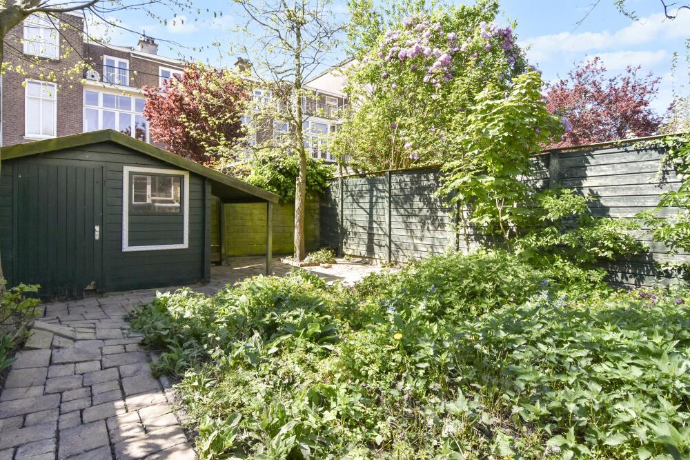 Foto 17 1000w
