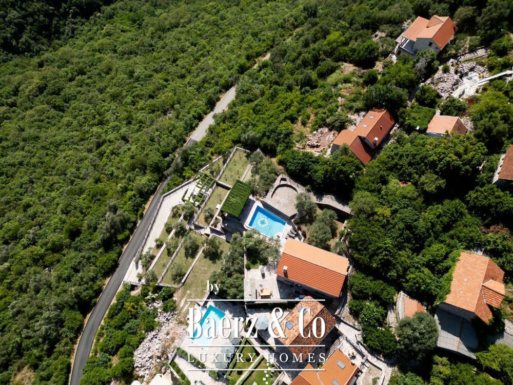 Foto 2 1000w