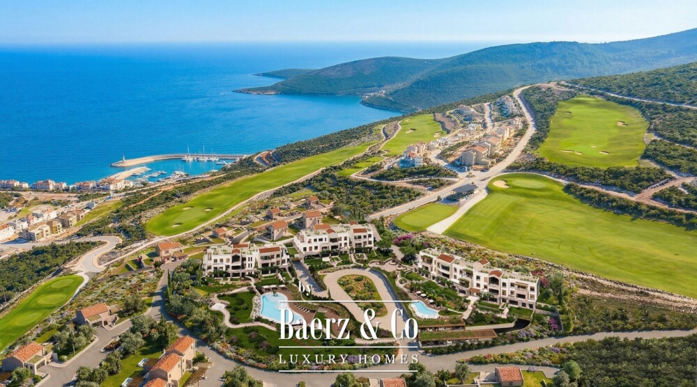Foto 2 1000w