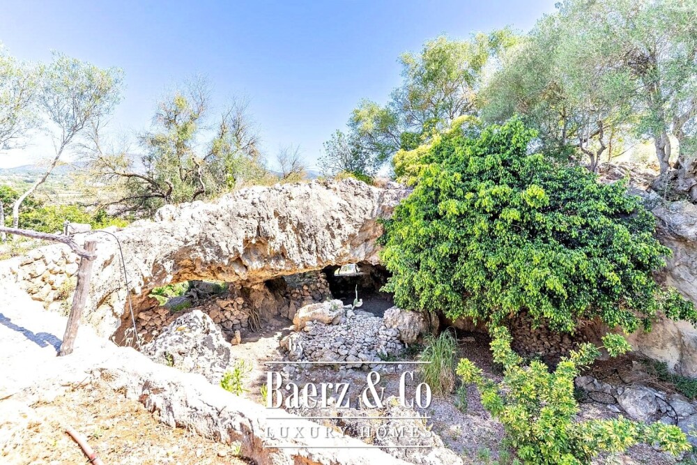 Foto 9 1000w