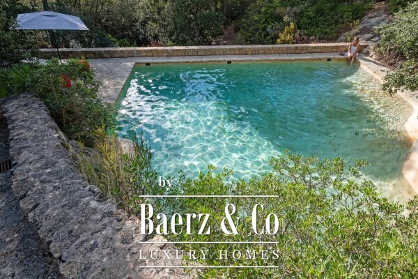 photo 26 Peace and tranquility in a beautiful rustic finca in the woods