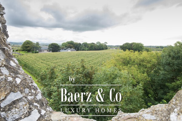 photo 31 Ballintotis Castle