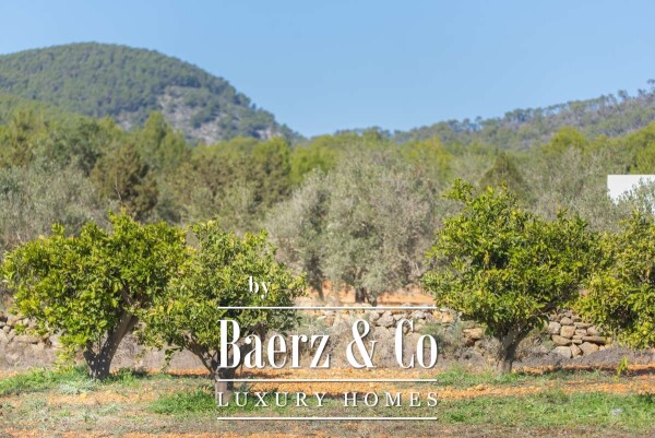 photo 56 Beautiful luxury home in San Mateo, San Mateo