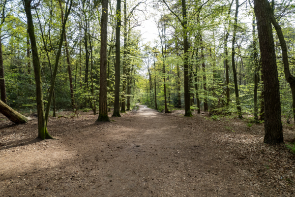 photo 64 Montenspark 1