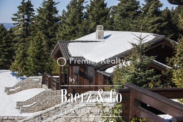 photo 19 950495 - Chalet | Eptalofos, Parnassos, 480 sq.m.