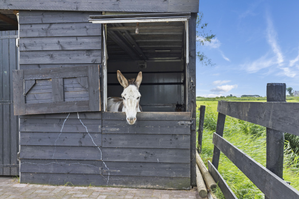 photo 55 Kiesterzijl 56