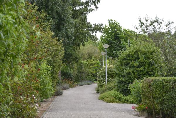 photo 70 Lange Meentweg 4