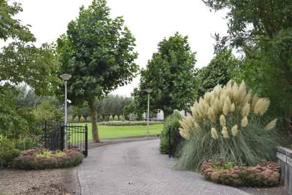 photo 68 Lange Meentweg 4