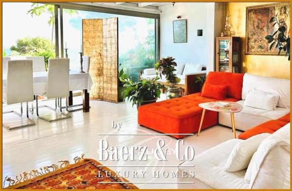 photo 5 house with sea view in Ibiza