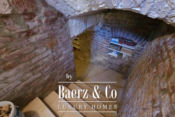 photo 14 Osijek, Lower Town, renovated house with great potential, 700 m2, plot 947 m2