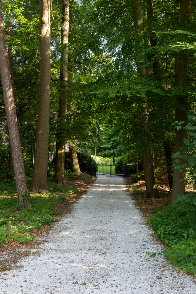 photo 26 Burgemeester de Manlaan 98