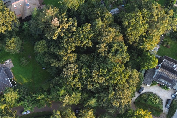 photo 2 Wikkelaan 0 ong