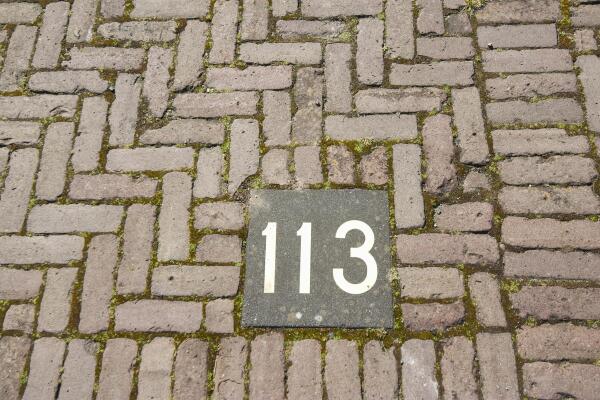 photo 47 Thérèse Schwartzestraat 113