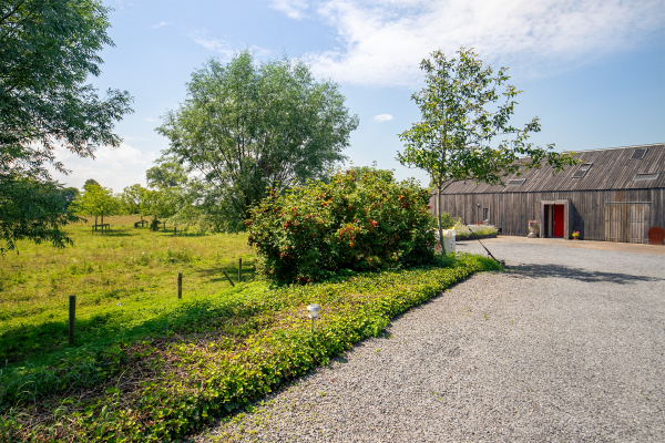 photo 54 Killedijk 16