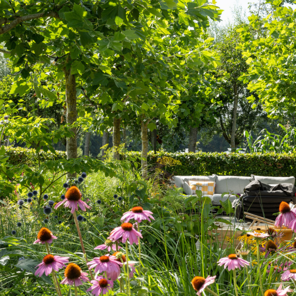 photo 36 Groene Hof 3