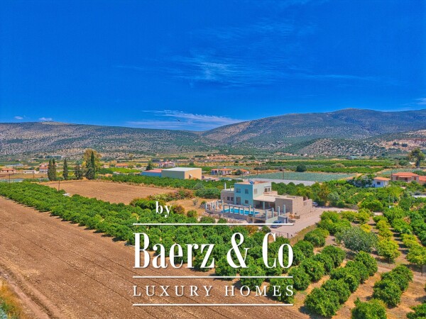 photo 25 (For Sale) Residential Villa || Argolida/Asini - 313 Sq.m, 4 Bedrooms, 620.000€