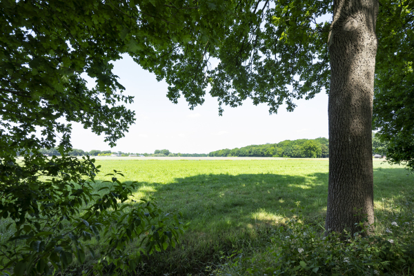 photo 51 Nieuwe Erven 12