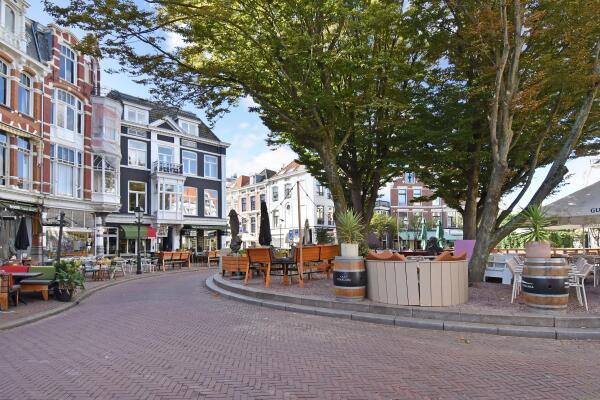 photo 42 Anna Paulownastraat 21