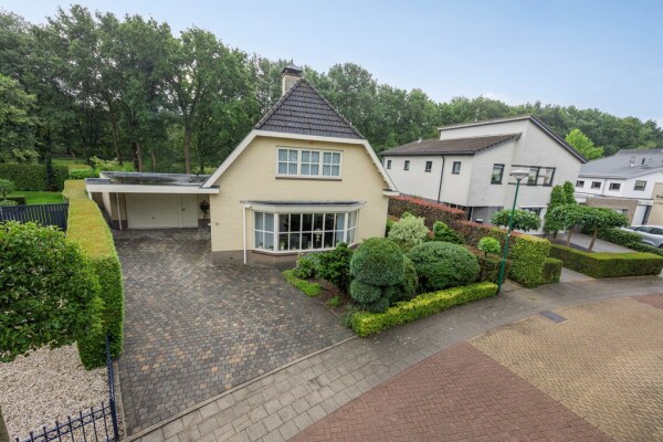 photo 2 Bilzekruid 11