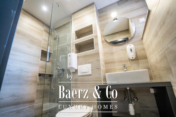 photo 12 Vukovar, Mitnica, for sale, 800 m², business opportunity