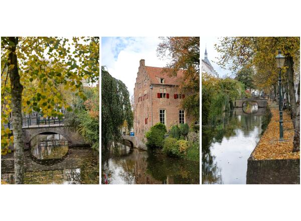 photo 5 Muurhuizen 37