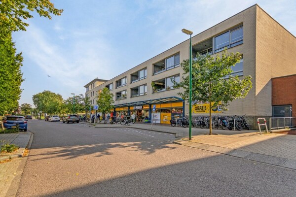 photo 63 Jacobaweide 14