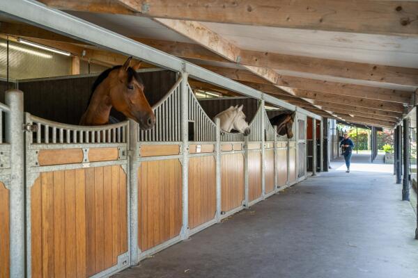 photo 2 Kapelstraat 12 14