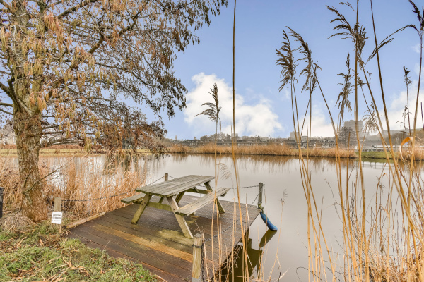 photo 31 Rottekade 165