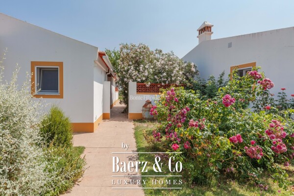 photo 2 Beautiful luxury home in Serpa (salvador e Santa Maria)