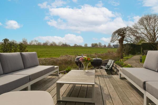 photo 42 Timotheegras 13