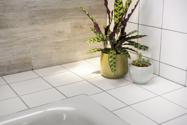 photo 47 Witte Singel 46