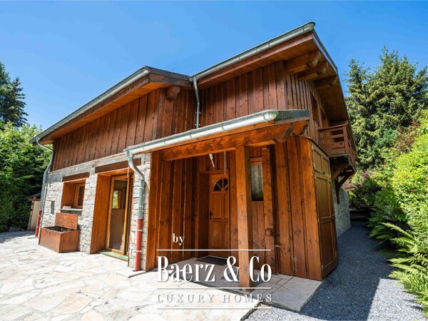 photo 8 Exceptional family chalet in the heart of the village
