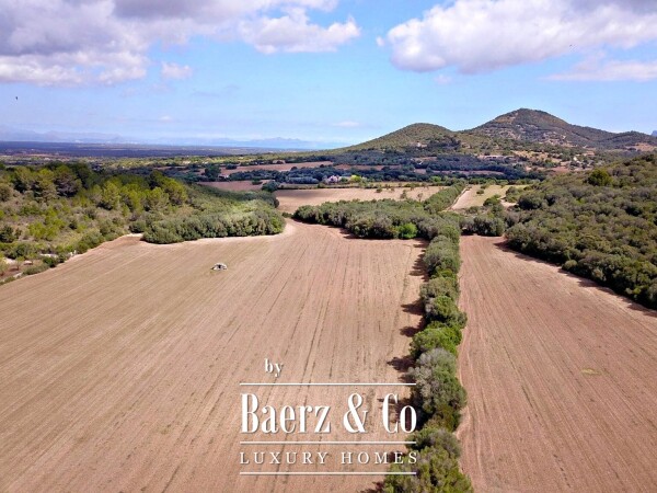 photo 11 Beautiful luxury home in Manacor, Manacor